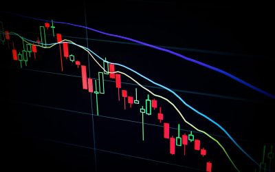 AI trong đầu tư chứng khoán: Hướng dẫn cho nhà đầu tư cá nhân