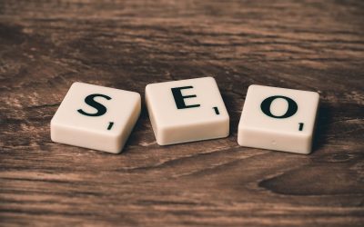 SEO Cho Website Mới: Lộ Trình 6 Tháng Lên Top Google Từ Con Số 0