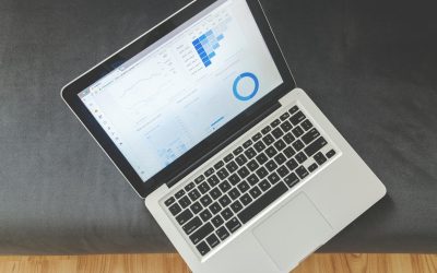 SEO Thực Chiến 2026: Case Study 3 Tháng Đầu Của Techzika