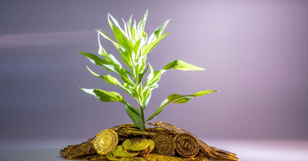 Tự Do Tài Chính Là Gì? Bản Đồ Đường Đi 7 Cấp Độ Đến Freedom