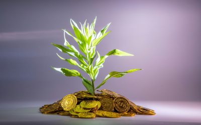 Tự Do Tài Chính Là Gì? Bản Đồ Đường Đi 7 Cấp Độ Đến Freedom