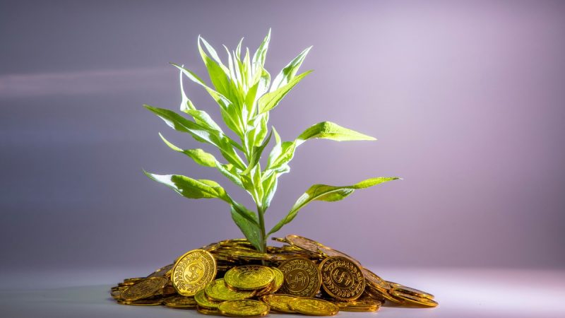 Tự Do Tài Chính Là Gì? Bản Đồ Đường Đi 7 Cấp Độ Đến Freedom