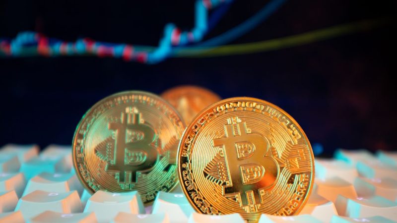Sàn crypto uy tín Việt Nam 2026 — So sánh 5 sàn cho người mới