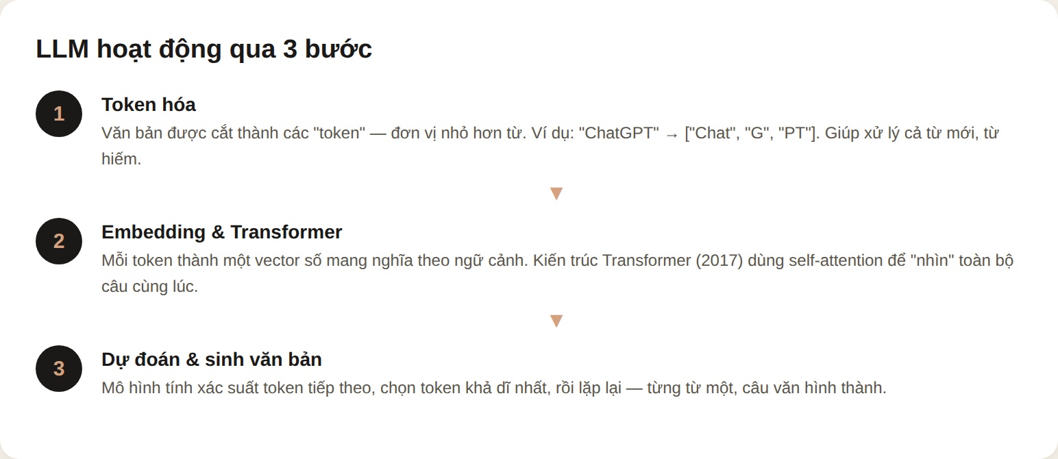 LLM hoạt động qua 3 bước: token hóa, embedding và Transformer, dự đoán và sinh văn bản